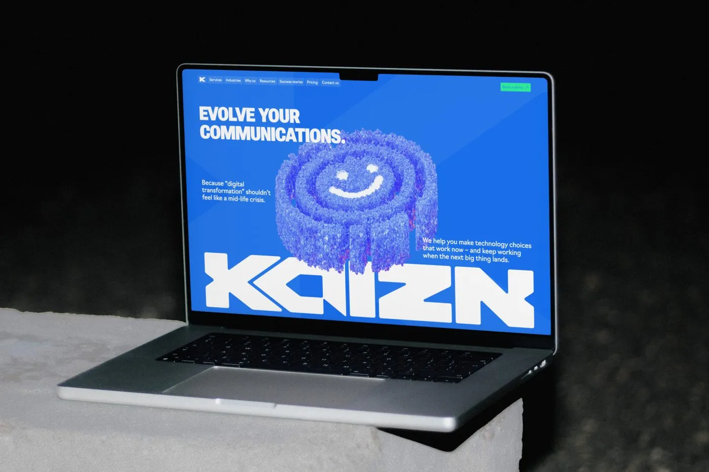 Brand & campaign — Kaizn — Website